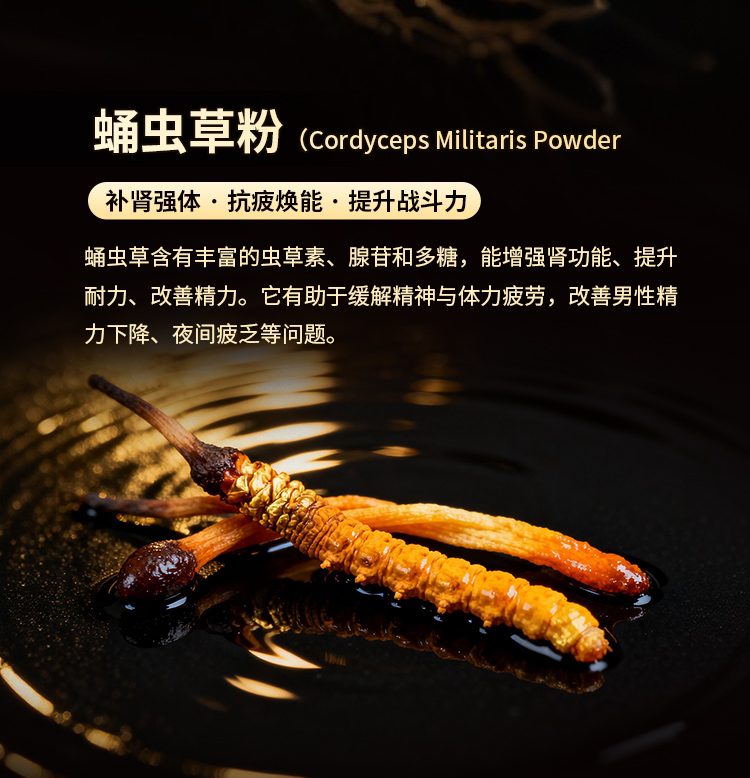 蛹虫草粉：蛹虫草